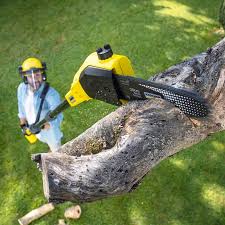 Trusted Atkinson, IL Tree Removal and Landscaping Services Experts